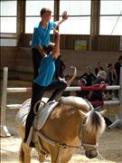 voltitag 2009 _CD1 133